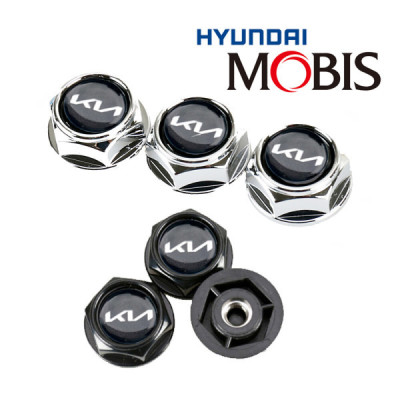 Automobile Products/Auto Parts / Car Accessories/Kia/Chrome/Black/1SET