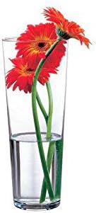 Pasabahce 43177 – Glass vase Flora, elegant, high, timeless, height 26 cm