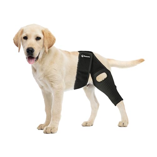 PetCove Dog Knee Brace, Size Small Dog Leg Brace, Dog Knee Brace for Torn Acl Hind Leg, Dog Leg Braces for Back Leg, Dog Acl Brace Hind Leg, Acl Brace for Dogs Rear Leg
