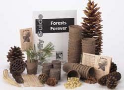 Forests Forever Tree-Growing Science Kit (Makes 100 Projects)
