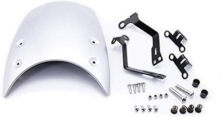 GLoyer Motorcycle Accessories Motorbike Windshield Windscreen Compatible with BMW R Nine T NINET 2014-2019 Headlight Fairing R9T R NINET Motorcycle Parts (Color : Silver)