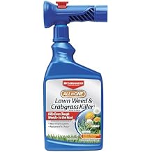 BioAdvanced All-in-One Weed &amp; Crabgrass Killer, Ready-To-Spray, 32 FOZ