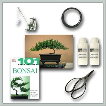 Bonsai Tree Juniper"Do It Yourself" Kit - Bestseller from Joebonsai
