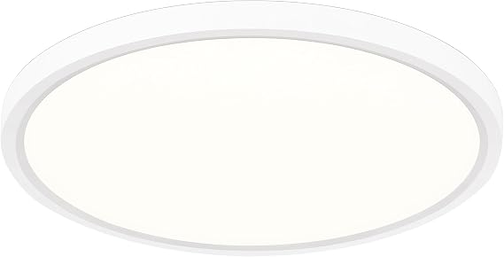 LED Ceiling Light Dimmable with Remote Control Background [Energy Class C]