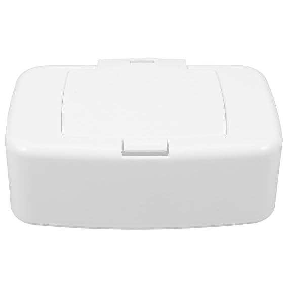 Plastic Disposable Gloves Container with Lid Disposable Containers Wipes Travel Case Wipes Case Portable Pouch Living Room Box Household