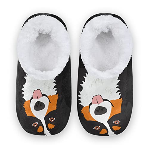 AUUXVA Unisex Slippers Lovely Bernese Mountain Dog Coral Fleece Slippers Socks Indoor Cozy Fuzzy Feet Slippers House Slippers