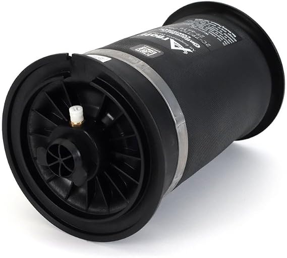 Arnott A-2780 Rear Air Spring (10-14 BMW 5 Series (F07, F11) - Left or Right)