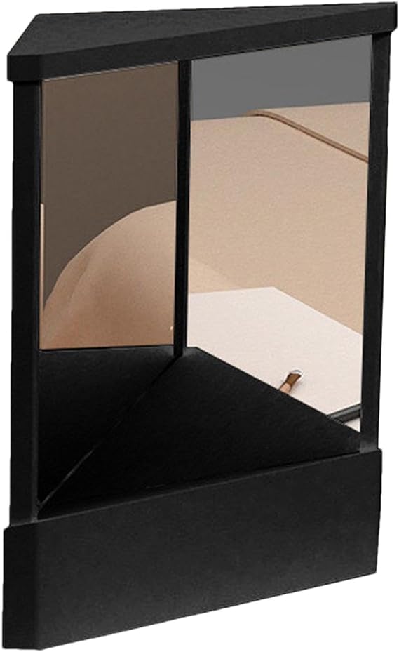 True Mirror - Real Image Non-Reverse Mirror