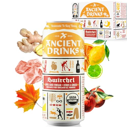 ANCIENT DRINKS Switchel Apple Cider Vinegar Drink Organic Electrolyte Hydration Beverage with Probiotics Ginger Citrus ACV Sports Drink 16 oz Cans, 12 Pack