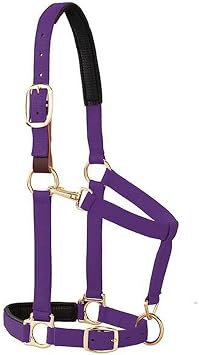Weaver Equine Breakaway Horse Halter, Comfort Foam Padding, Adjustable Chin & Throat Snap Halters for Horses, Equine Tack,Average Size, Purple