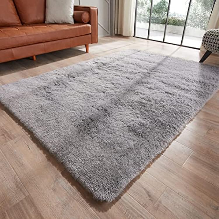 GKLUCKIN 2x3 Area Rugs - Light Grey, Fluffy Shag Fuzzy Soft Rug for Kids, Boys, Girls Room, Dorm, Bedside, Indoor Plush Shaggy Furry Carpet