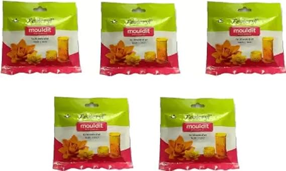 pidilite Mouldit 5 Pack Art Clay (50 g)