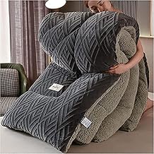 Winter Cotton Duvet, Fluffy Cashmere Duvet, Lamb Velvet Winter Quilt, Soft Warm Duvet Bedding, Double-Sided Cashmere Thick Warm Plush Duvet,Grey B,220240cm(5kg)