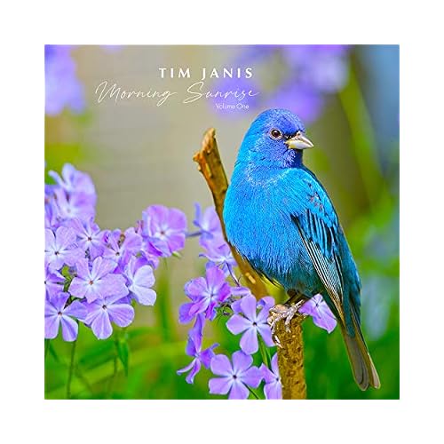 Tim Janis Morning Sunrise Volume One - Relaxing Music Traditional Instrumental Hymns Sounds for Relaxation, Stress Relief, and Meditation - Soothing Piano Calming Music Audio Tim Janis