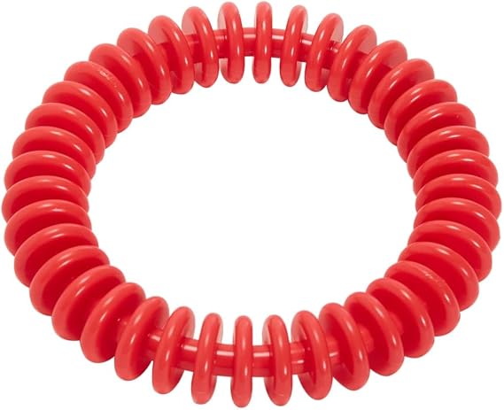 Sporti 6 Inch Dive Ring - Red