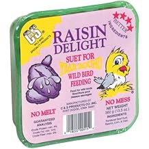 C&S Raisin Delight Suet, 11.75-Ounce
