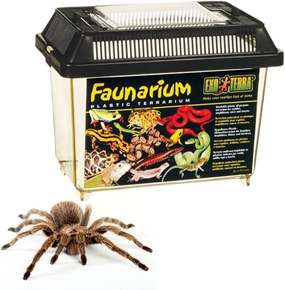 Exo Terra Faunarium Small PT2255 | Plastic Reptile Terrarium and Transport Container for Lizards, Spiders & Amphibians