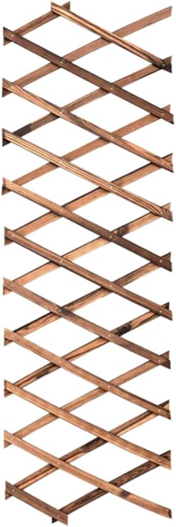 Garden TrellisesExpandable Plant Climbing Lattices Trellis Fence Support 6.5ft × 1ft (0.7 × 200 × 30cm) 0.7cm thickness