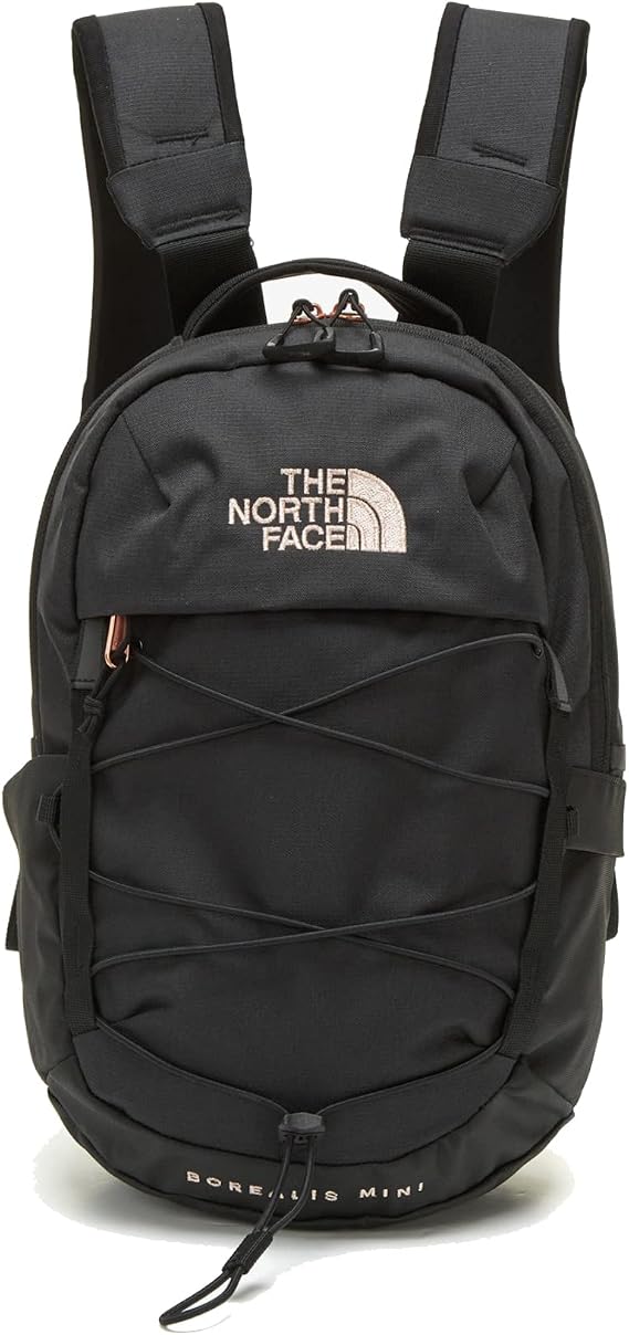 The North Face Borealis Mini Backpack