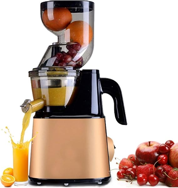 Slow Masticating Juicer, Cold Press Juicer Machine, Juice Extractor with Quiet Motor and Reverse Function, Juicing Separation Without Filtering, Easy Clean,Gold