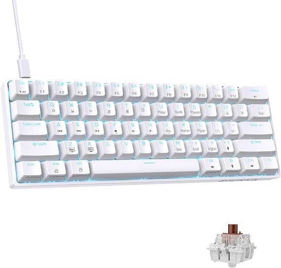 DIERYA DK61SE 60% Mechanical Gaming Keyboard, 61 Keys Anti-Ghosting, LED Backlight, Detachable USB-C, Ultra-Compact Mini Wired Keyboard with Brown Tactile Switch for Windows Laptop PC Gamer Typist