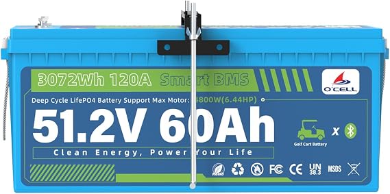 48V (51.2V) 60Ah LiFePO4 Golf Cart Lithium Battery, Grade A Cells, 120A Bluetooth BMS, Maximum Power 4.8KW, Charger 58.4V 15A, Touch LCD, Mounting Bracket Born for Solar/Trolling Motor/Lawn Mower/RV