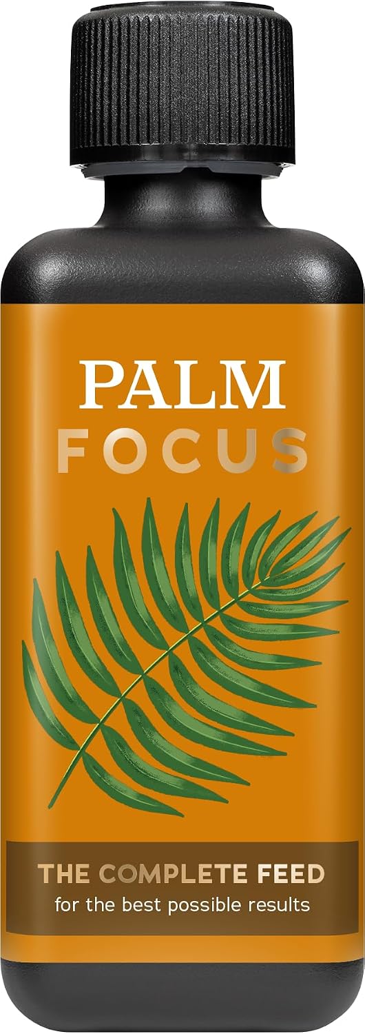 Growth Technology Ltd,Black Palm Focus 300 ml