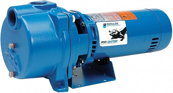 Goulds Water Technology Cast Iron 1/2 HP Centrifugal Pump 115/230V 2BF40512-1 Each