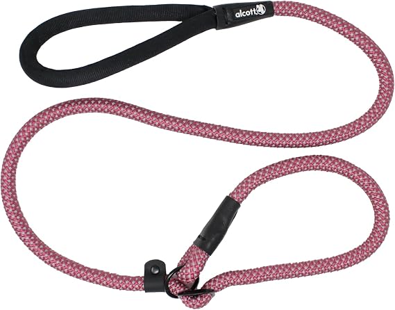 Alcott Slip Rope Leash for Dogs, Medium, Red