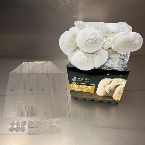Myco Labs Lion's Mane Mushroom Grow Kit | Large 5.5 LB Fruiting Block | with Custom Humidity Tent & Filters | Grow Anywhere