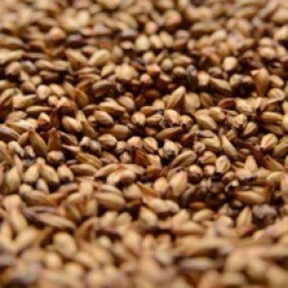 Strange Brew Special B Malt 1 lb