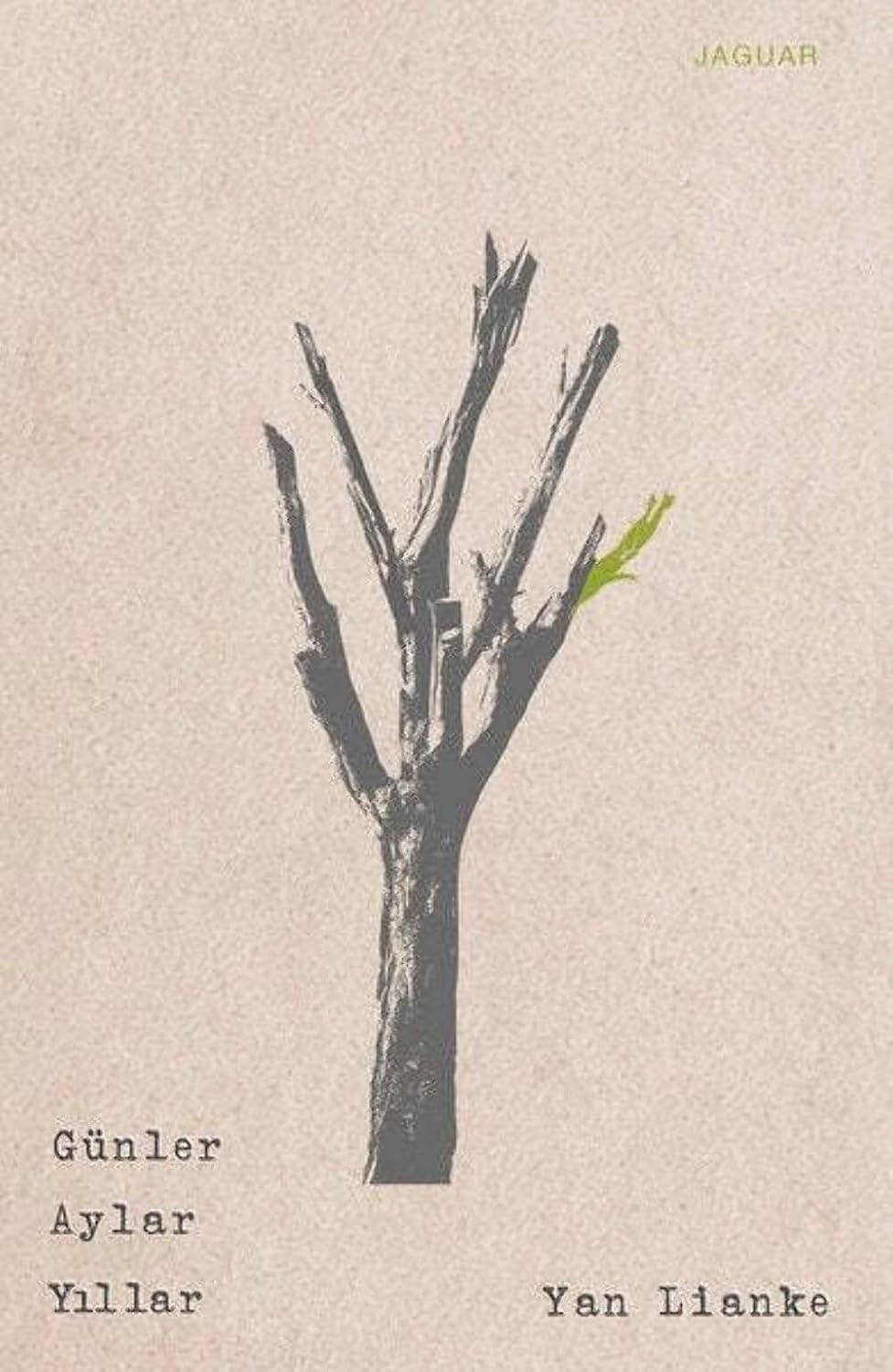 Days Months Years Paper Cover – January 31, 2020