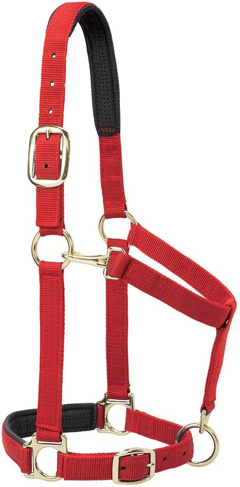 Weaver Equine Breakaway Horse Halter, Comfort Foam Padding, Adjustable Chin & Throat Snap Halters for Horses, Equine Tack,Average Size, Solid Red