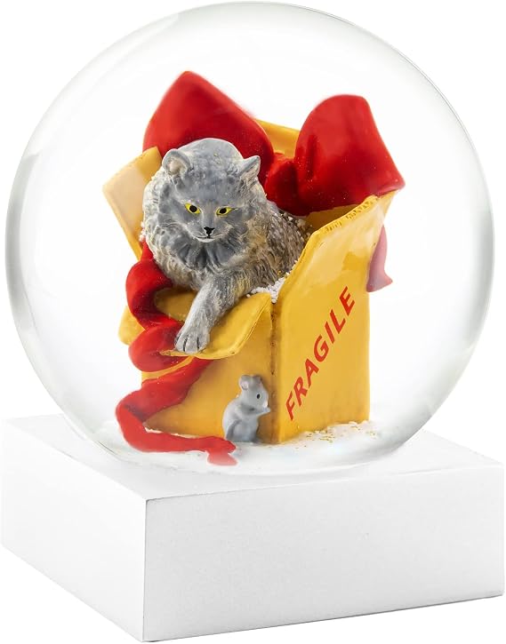 Snow Globe with Cat in Box by CoolSnowGlobes