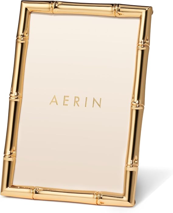 AERIN 4x6 Ava Bamboo Frame - Gold