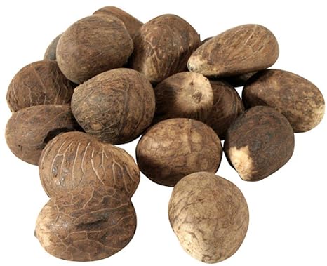 Fair Trade Ecuador Tagua Nuts | Vegan Ivory | Med 55-65mm / 2.16"-2.56"
