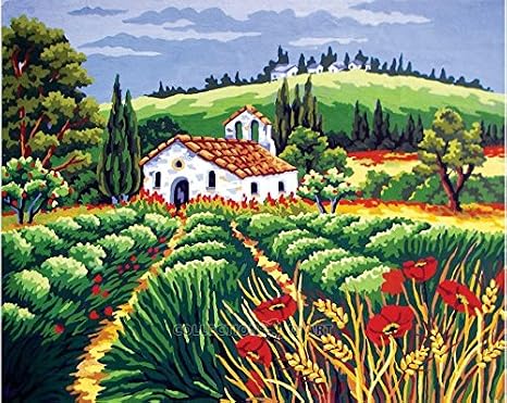 Needlepoint printed canvas