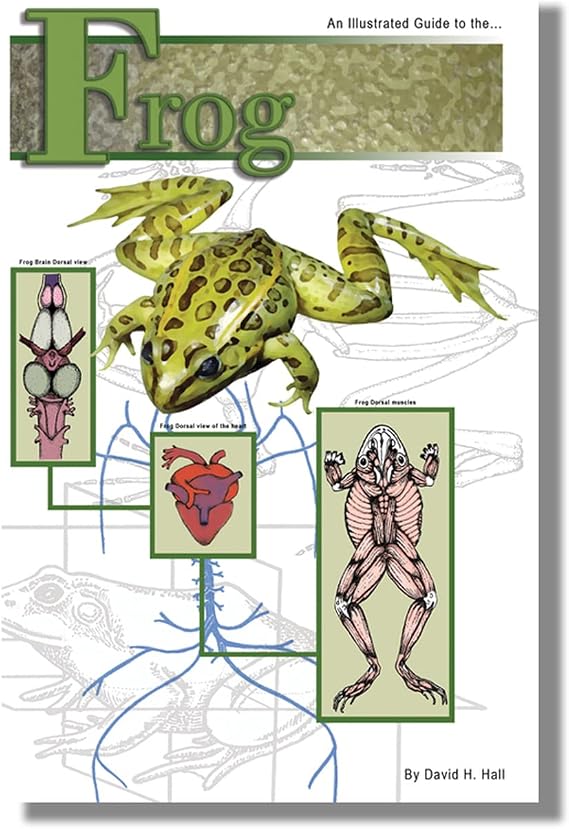 Anatomy Lab Soft Cover Frog Dissection Guide Book