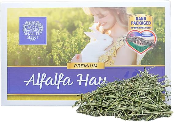 Small Pet Select Alfalfa Hay Pet Food, 20 LB