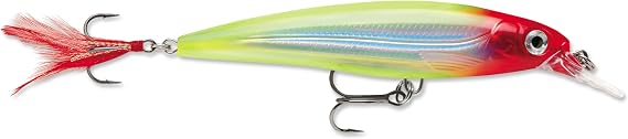Rapala X-Rap Jerkbait XR10 Fishing Lure