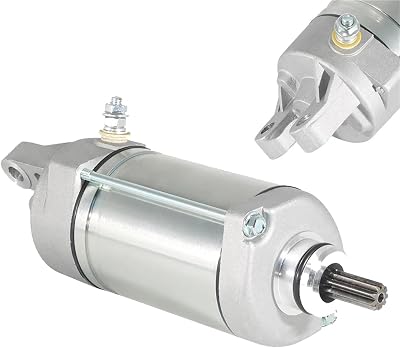 Motor Snowmobile Starter Motor for Yam&aha SRS10 SW10 Sidewinder S-TXX-TX R-TX B-TX L-TX M-TX 137 153 162 141 8GL-81890-01LE DX LE SE