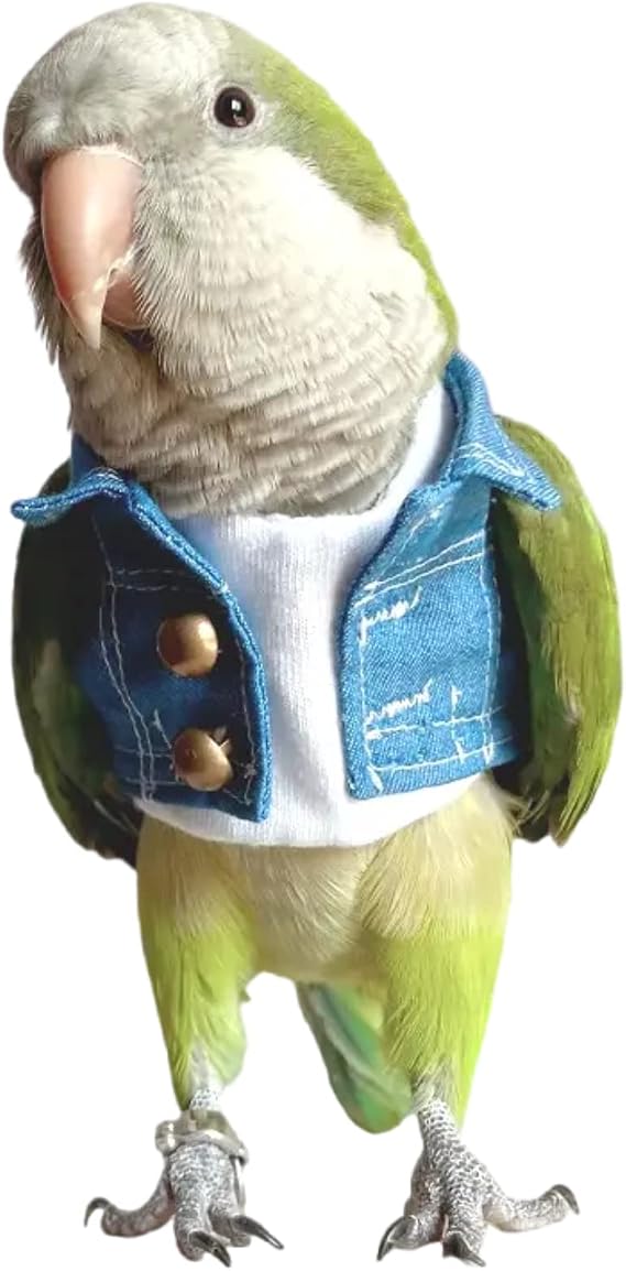 Bird Costume Bird Diaper Flight Suit Bird Jeans Fake Two Pieces Bird Clothes Cosplay Photo Prop for Parrots Lovebird Parakeet Cockatiel Small Animals Apparel (with Diaper,Hahn's Macaw)