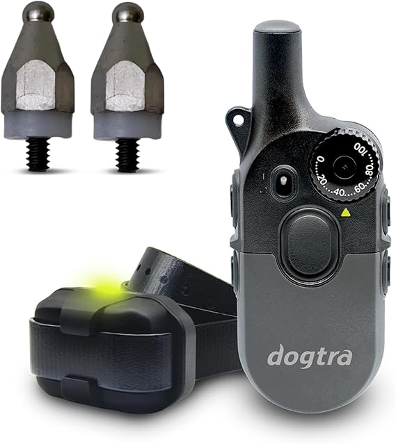 Dogtra 200iQ Remote Training E-Collar with Titanium Contact 3/4" | 1/2 Mile Range, 100 Levels, Tone & Vibration, Compact, Waterproof, One-Handed Control, Ideal for Short-Haired Dogs