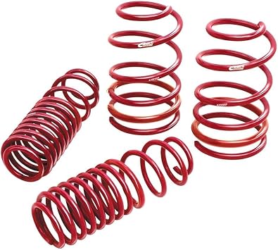 Eibach Springs E10-27-004-01-22 Lowering Spring for 2015-2016 Dodge Charger SRT Hellcat