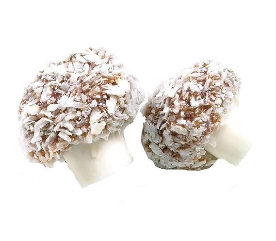 Taveners Coconut Mushrooms 500 Gram Bag (1/2 Kilo)