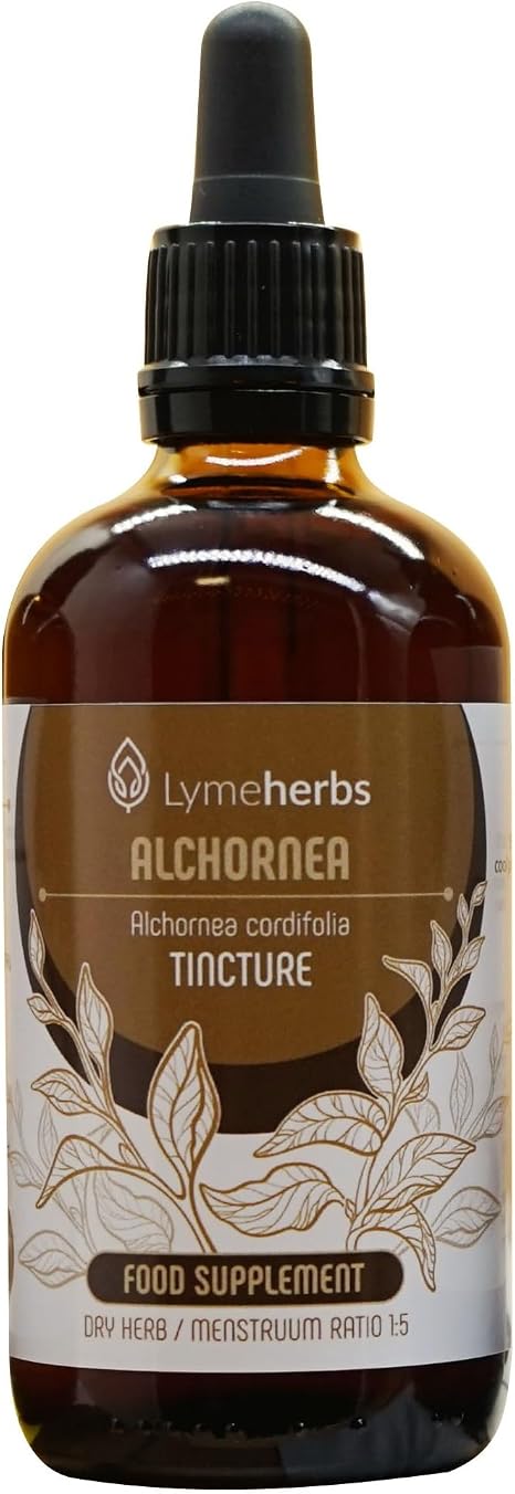 Alchornea Tincture 1:5 100 ml