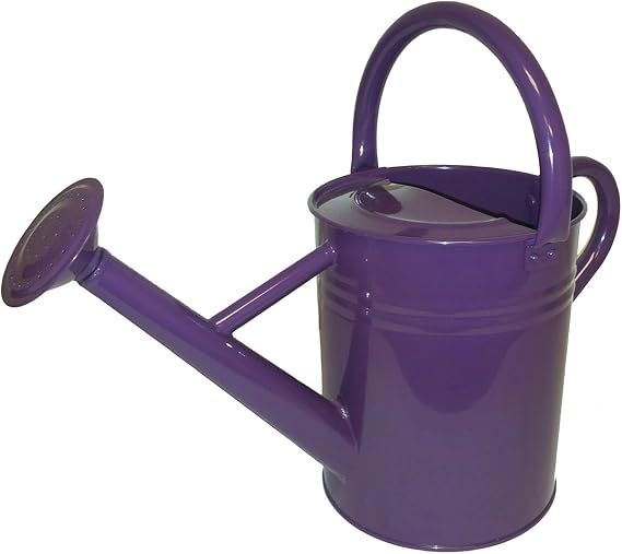 Gardman 1 Gallon Watering Can Plum