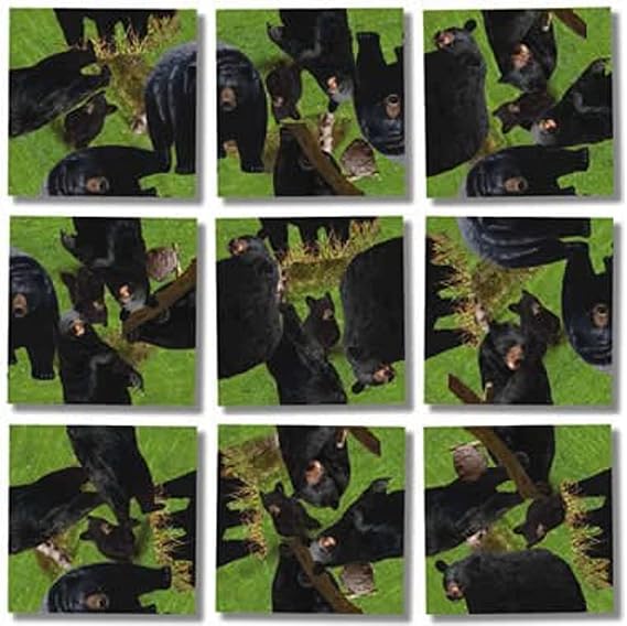 Scramble Squares Black Bears 9 Piece Challenging Puzzle - Ultimate Brain Teaser and Mind Game for Young and Senior Alike - Engaging and Creative With Artwork