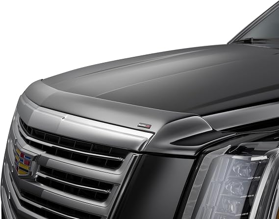 WeatherTech Hood Protector Low-Profile Hood Shield for Ford F-150 (55265)