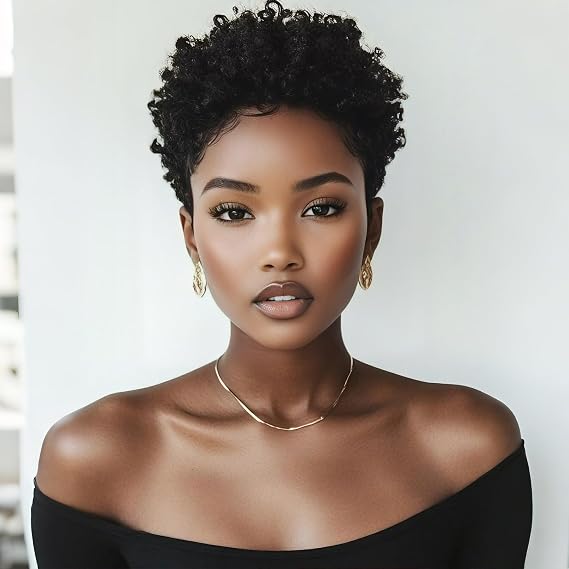 Short Afro Kinky Curly Wigs for Black Women - Synthetic Kinky Wig with Natural Look (A-1116A)